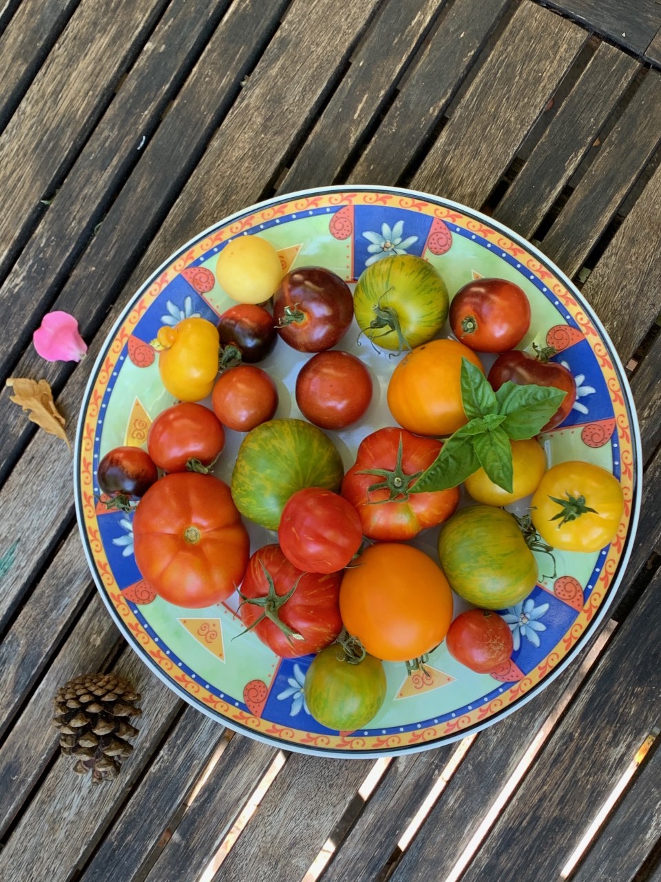 Tomatensuppe mit Basilikum - Leben im Einklang mit der Natur Tomatensuppe mit Basilikum - Leben im Einklang mit der Natur