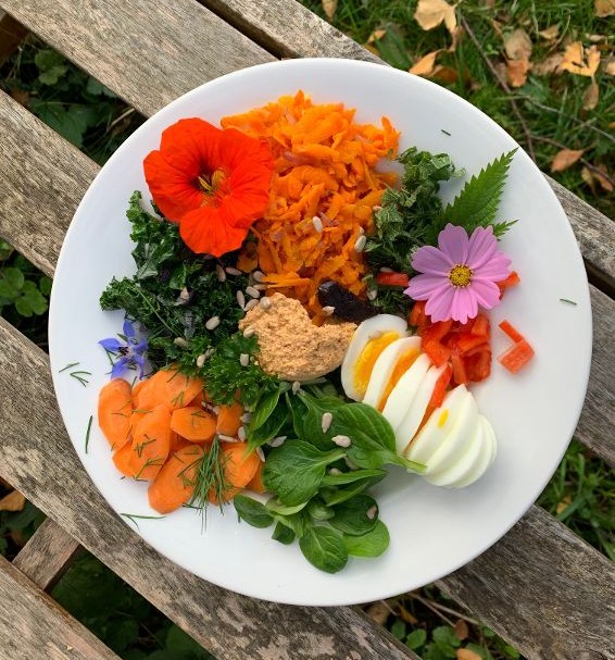 Lecker und gesund essen Online-Kräuter-Kurs